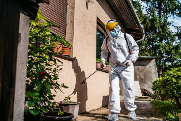 Best Residential Pest Control  in Del Aire, CA