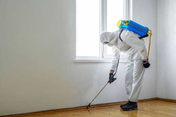 Del Aire, CA Pest Control Company