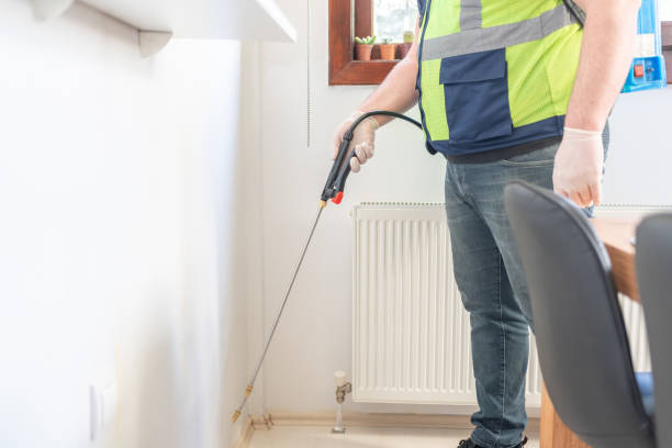 Best Flea Control Services  in Del Aire, CA
