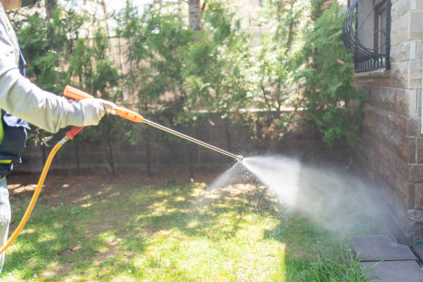 Best Local Pest Control Services  in Del Aire, CA